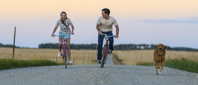 a-dogs-purpose-image